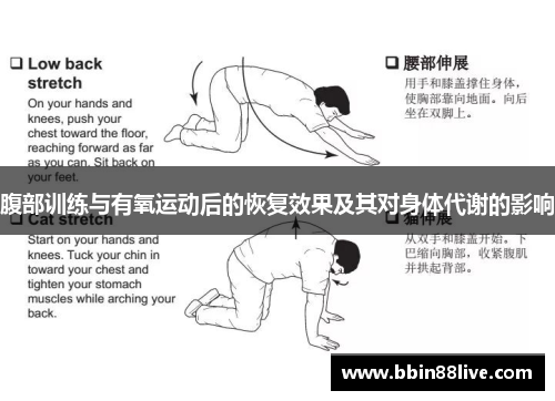 腹部训练与有氧运动后的恢复效果及其对身体代谢的影响